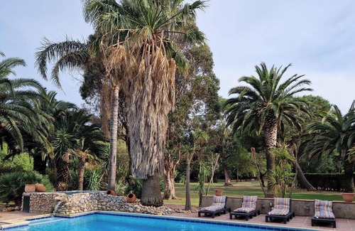 Bompas House | Le Cabanon d'Anaïs - Cozy small house in a beautiful landscape park with pool!