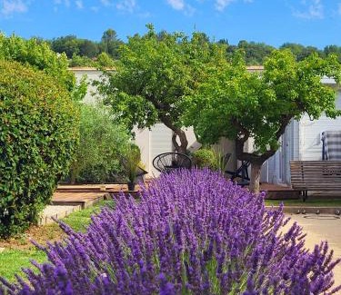 Saignon Bed & Breakfast | Le Cabanon de Marie
