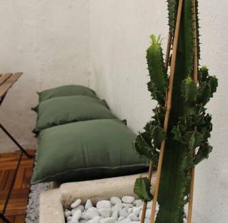 4th Arrondissement Apartment | Le Cactus - Appartement avec terrasse