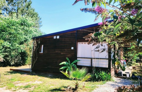 Tosse Ski Chalet | Le carbet d'Axelle +piscine