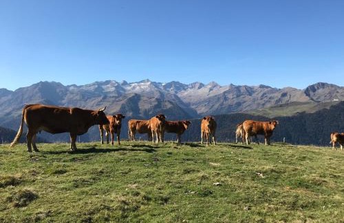 Montauban-de-Luchon Ski Chalet | Le Castanier