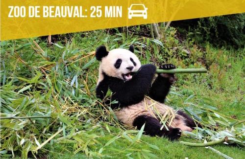 Montrichard Val de Cher House | Le Cavernacle