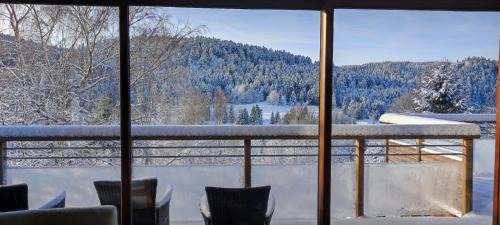 Le Grand Valtin Ski Chalet | Le Cerf, chalet cocooning avec piscine et billard
