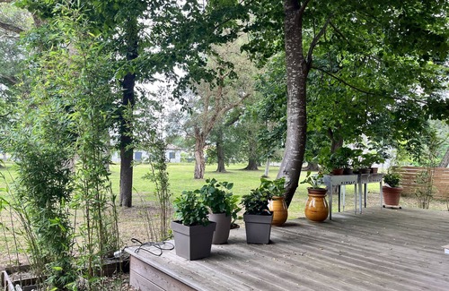 Saint-Julien-en-Born Ski Chalet | Le Chalet Hosta Océan et Calme