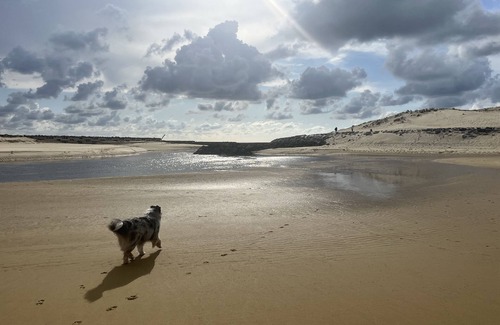 Saint-Julien-en-Born Ski Chalet | Le Chalet Hosta Océan et Calme