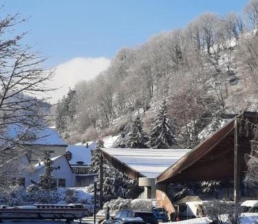 Sainte-Marie-aux-Mines Apartment | LE CHANT DE LA RIVIERE
