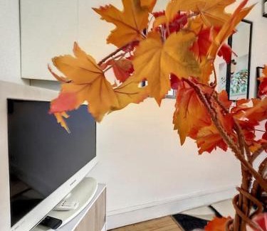 Mairie de Chantenay Apartment | Le chantenay