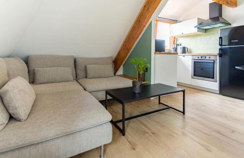 Schiltigheim Apartment | Le charme de l'ancien allié au contemporain