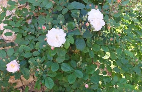 Azerat House | Le Chemin des sens