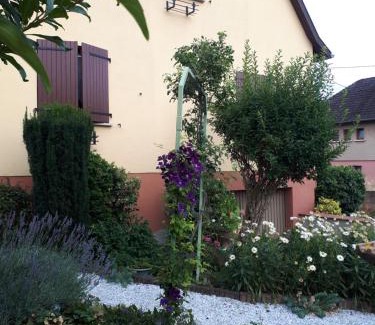 Selestat House | Le chouette gîte