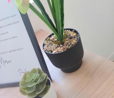 Centre Ville Apartment | Le Clos Carnot 2 - Proche Commodités