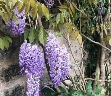 Flavigny-sur-Ozerain House | Le Clos de Melanie