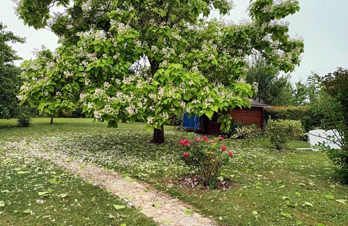 La Croix-en-Brie House | Le Clos Marie Véronique, gîte 11 pers near Provins