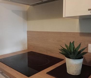 Quend-Plage-les-Pins Apartment | Le Cocon des Dunes