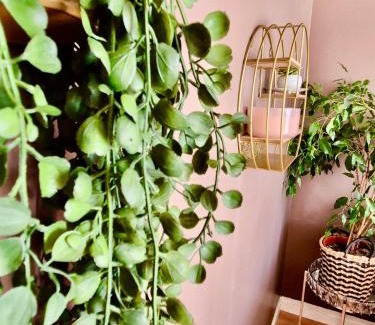 La Celle-sous-Gouzon Apartment | Le cocon du Mont Saint Michel