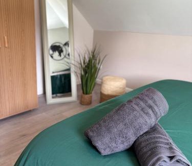 Quartier Saint-Leon Apartment | Le Col'Vert - Appartement 50m2 - Colmar Centre