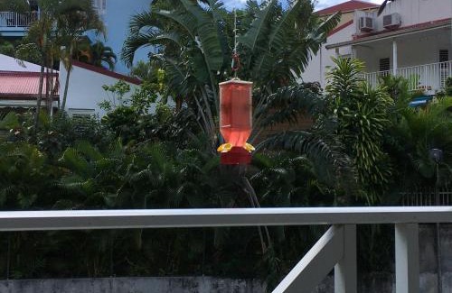 Les Anses-d'Arlets Apartment | Le COLIBRI