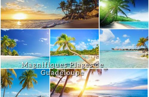 Basse-Terre Apartment | Le Colibri, vue exceptionnelle sur la Soufrière