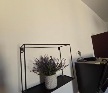 Bras Apartment | Le colibris