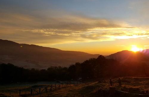 Vernay House | Le Colombier d'Amalthée