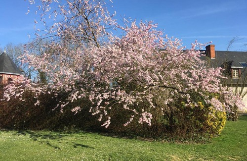 Caux Seine Agglo House | le colombier de Royaumont