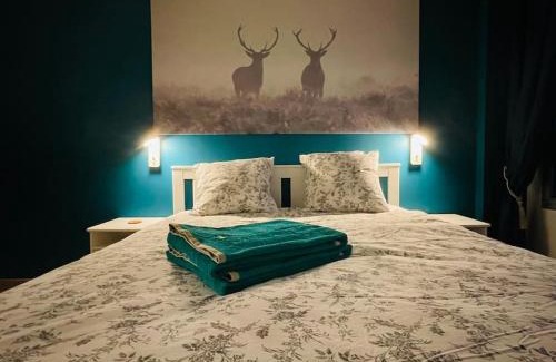 Moliere Vauban Apartment | Le confort au coeur de Lyon