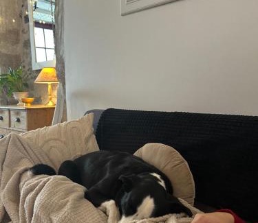 Mortagne-sur-Sevre House | Le Cordonnier d'Autrefois - 15 minutes du Puy du Fou