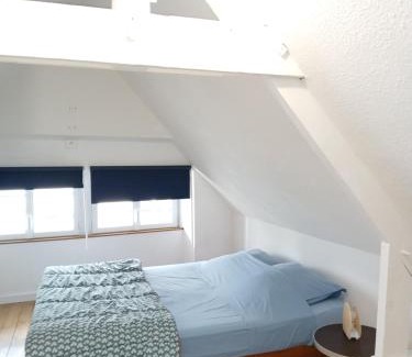 Thabor - Saint-Helier Apartment | Le Coucou Rennais