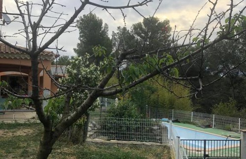 Lambesc Villa | Le coussou