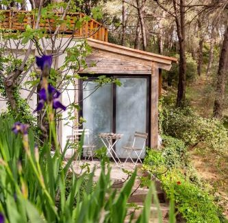 Aix-en-Provence Apartment | Le Dandy