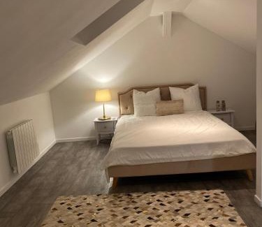 Chalon-sur-Saone Apartment | Le Duplex de l’Avenue