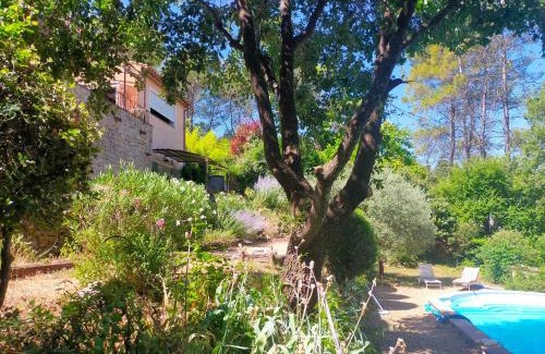 Carces Apartment | Le Figuier appart 2-3 pers en plein vignoble avec piscine privée à 30mn des gorgesdu Verdon et des plages