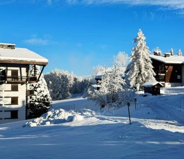 Le Planellet Apartment | Le FLOCON du Mont Darbois classé 3 étoiles
