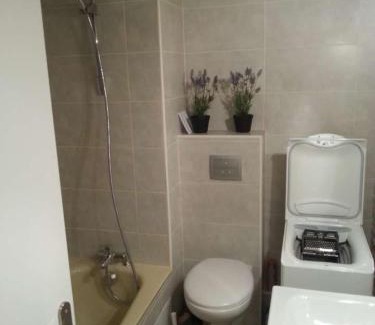 Molines-en-Queyras Apartment | LE FONTAGNEL N°310