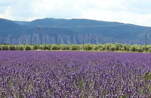 Montfort House | Le gîte du Jas Vieux