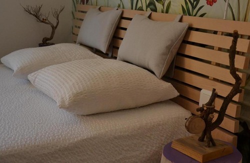 Mazan House | Le gîte du petit branché