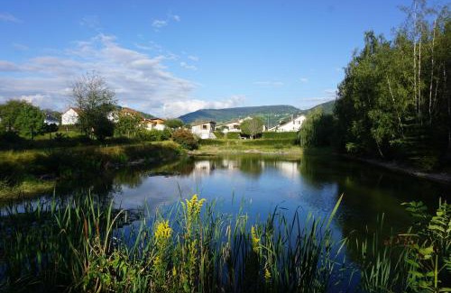 Vagney House | Le gîte et l'étang de pêche