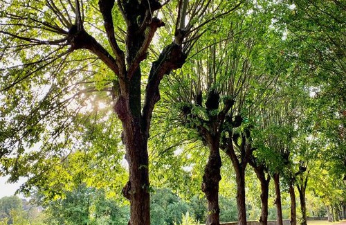 Senlis House | Le Gîte