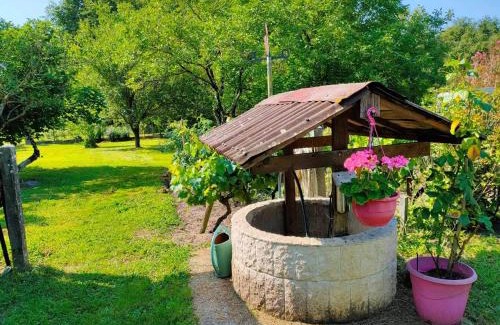 Naujac-Sur-Mer House | Le Gite de Colette et Jean-Claude