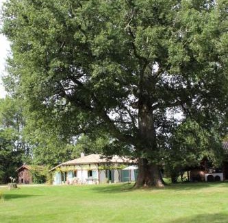 Luglon House | Le gite de marquin