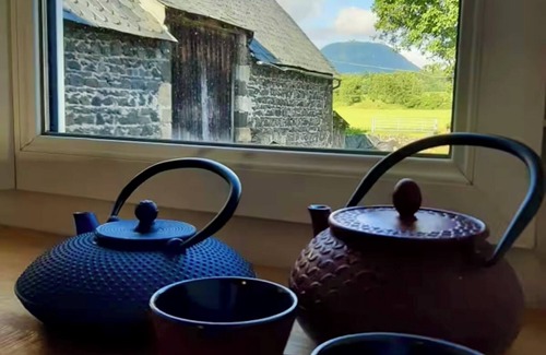 Ceyssat House | LE GÎTE DU BOIS DE L'HIVER, large character property at the foot of the Puy-de-Dôme mountains