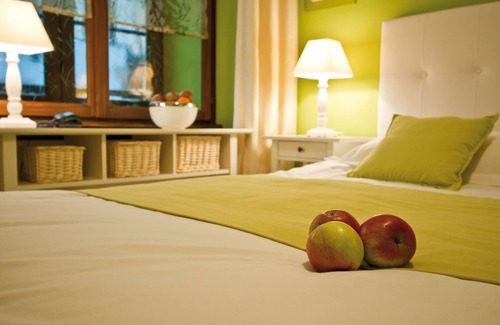 Obernai Hotel | Le Gouverneur