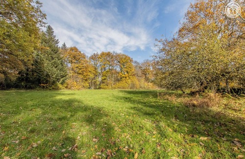 Saint-Sernin-du-Bois House | Le Grand Bonheur - SAINT SERNIN DU BOIS