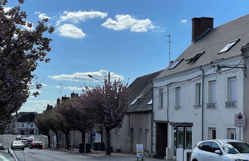 Vierzon Apartment | Le Grand Bleu - Vierzon - Wifi et Parking Inclus