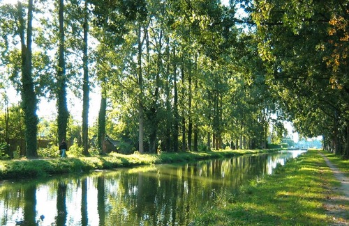 Vierzon Apartment | Le Grand Bleu - Vierzon - Wifi et Parking Inclus