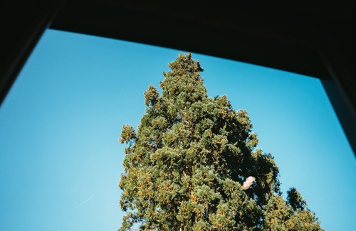 Guebwiller House | Le Grand Petit Prince I Charming House 6 pers I Jacuzzi