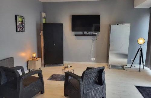 Epinal Apartment | Le Grand Studio Centre Gare