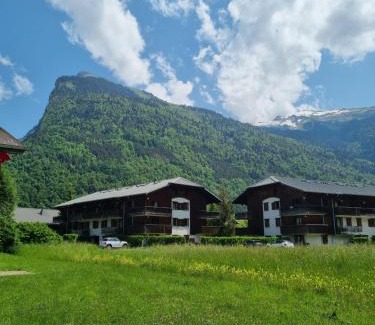 Samoens Apartment | LE GRAND TETRAS