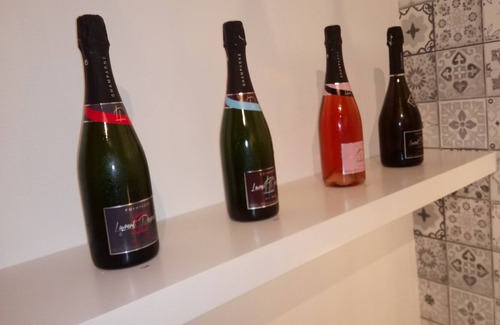 Mardeuil Apartment | "Le Hugo": a cozy nest in Champagne ...