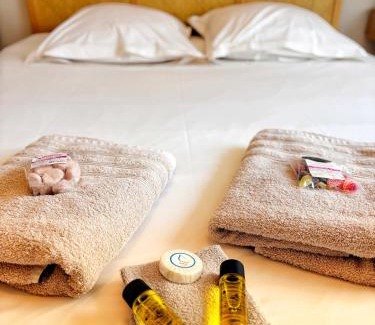 Epinal Apartment | Le Jardin Japonais Épinal avec terrasse